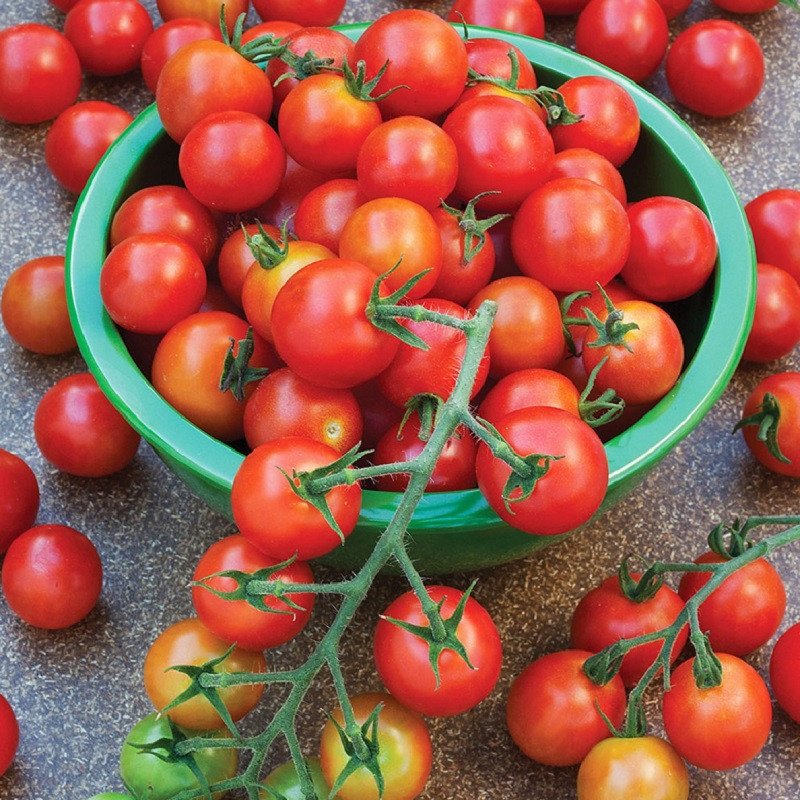 Cà chua cherry