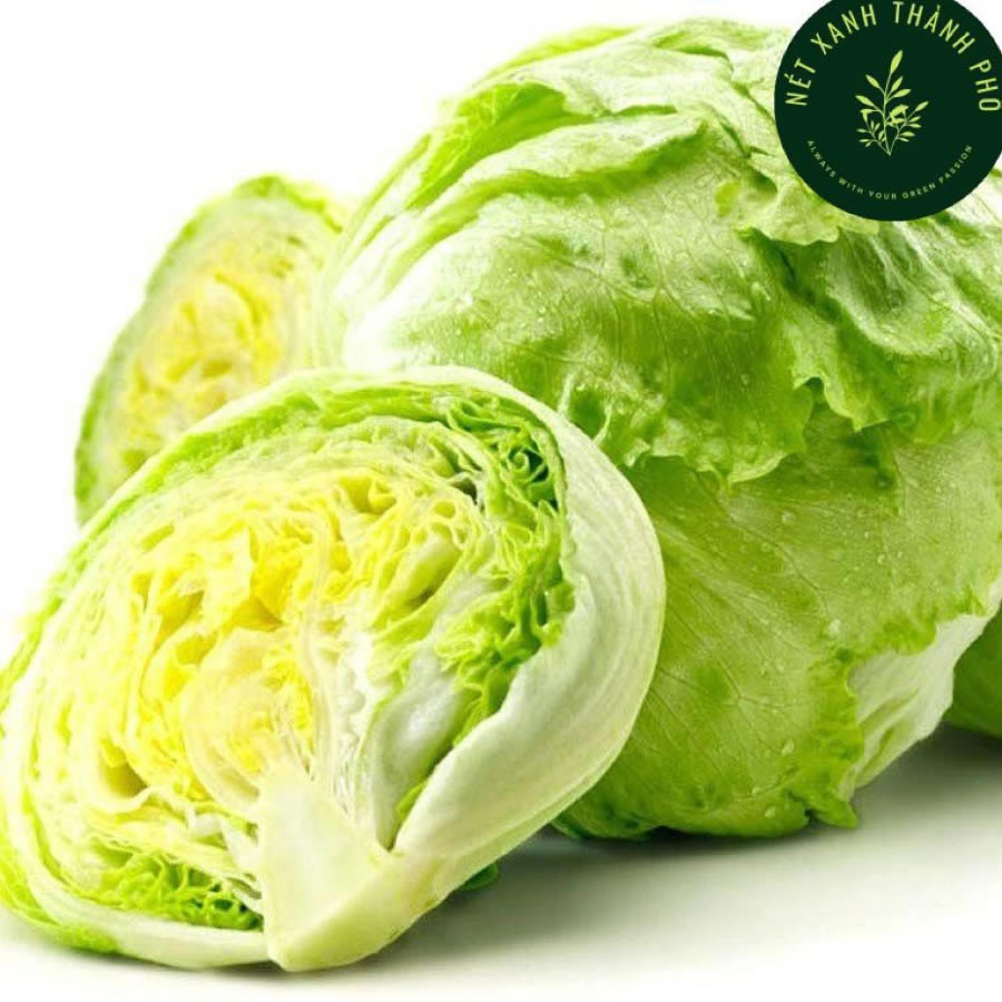 Xà lách Iceberg