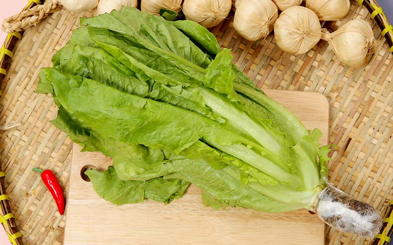 Xà lách Romaine